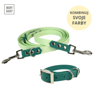 Hexa prepínací set pre psa – vodeodolné prepínacie vodítko DUO a jednofarebný obojok